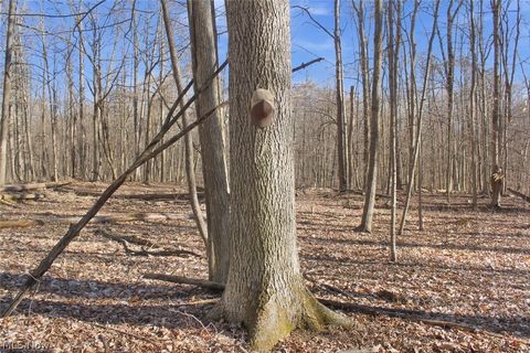 Tiny photo for 0 Chatham Road, Spencer, OH 44275 (MLS # 5188074)