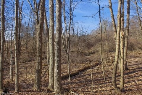 Tiny photo for 0 Chatham Road, Spencer, OH 44275 (MLS # 5188074)