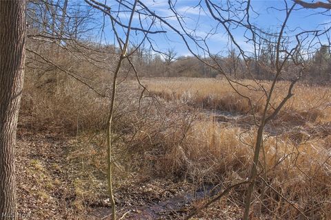 Tiny photo for 0 Chatham Road, Spencer, OH 44275 (MLS # 5188074)