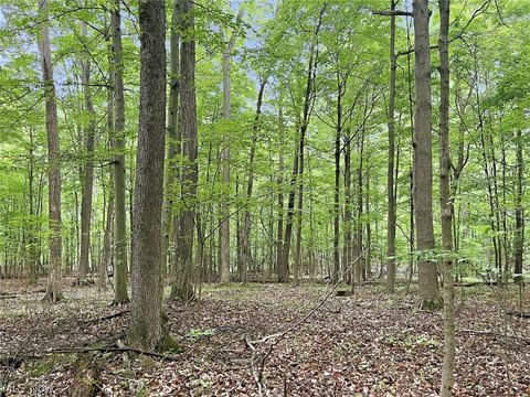 Tiny photo for 0 Chatham Road, Spencer, OH 44275 (MLS # 5188074)