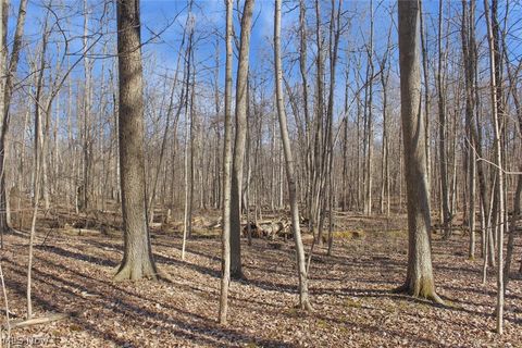 Tiny photo for 0 Chatham Road, Spencer, OH 44275 (MLS # 5188074)