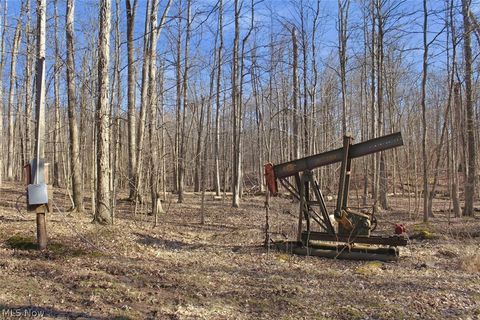 Tiny photo for 0 Chatham Road, Spencer, OH 44275 (MLS # 5188074)