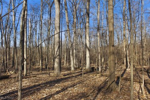 Tiny photo for 0 Chatham Road, Spencer, OH 44275 (MLS # 5188074)