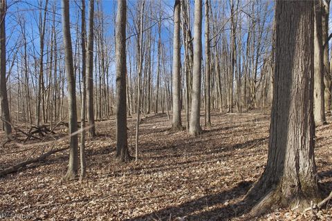 Tiny photo for 0 Chatham Road, Spencer, OH 44275 (MLS # 5188074)