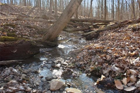 Tiny photo for 0 Chatham Road, Spencer, OH 44275 (MLS # 5188074)