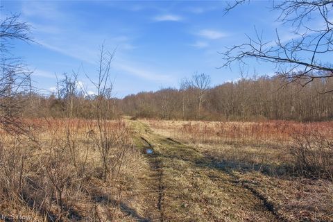 Tiny photo for 0 Chatham Road, Spencer, OH 44275 (MLS # 5188074)