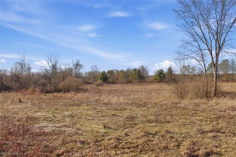 Tiny photo for 0 Chatham Road, Spencer, OH 44275 (MLS # 5188074)
