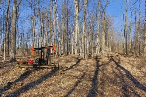 Tiny photo for 0 Chatham Road, Spencer, OH 44275 (MLS # 5188074)