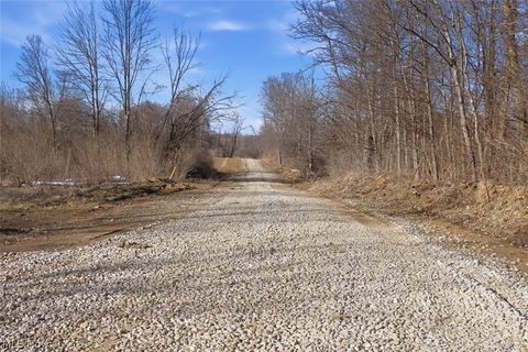 Tiny photo for 0 Chatham Road, Spencer, OH 44275 (MLS # 5188074)