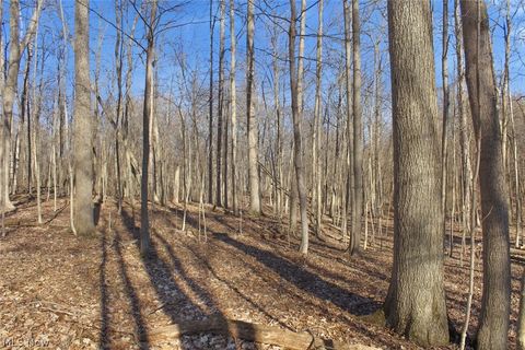 Tiny photo for 0 Chatham Road, Spencer, OH 44275 (MLS # 5188074)