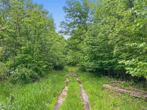 Tiny photo for 0 Chatham Road, Spencer, OH 44275 (MLS # 5188074)