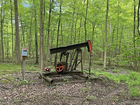 Tiny photo for 0 Chatham Road, Spencer, OH 44275 (MLS # 5188074)