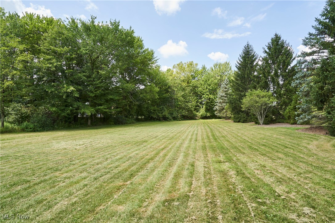 Richfield, Ohio 44286, United States, 6 Bedrooms Bedrooms, ,8 BathroomsBathrooms,Residential,Active,196494