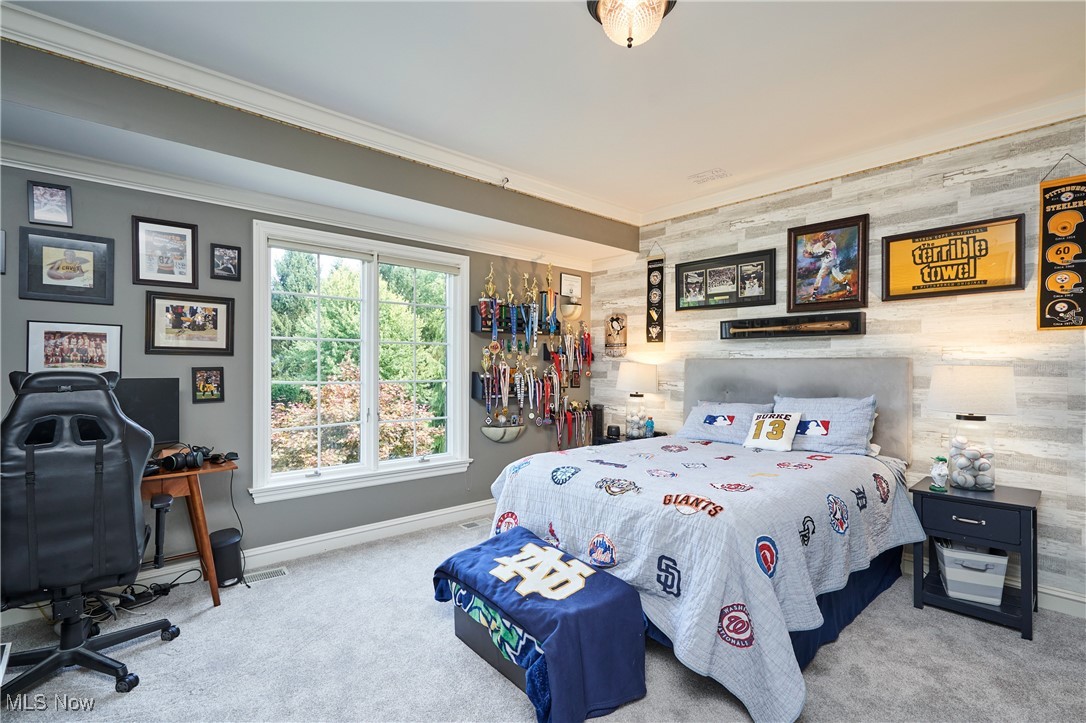 Richfield, Ohio 44286, United States, 6 Bedrooms Bedrooms, ,8 BathroomsBathrooms,Residential,Active,196494