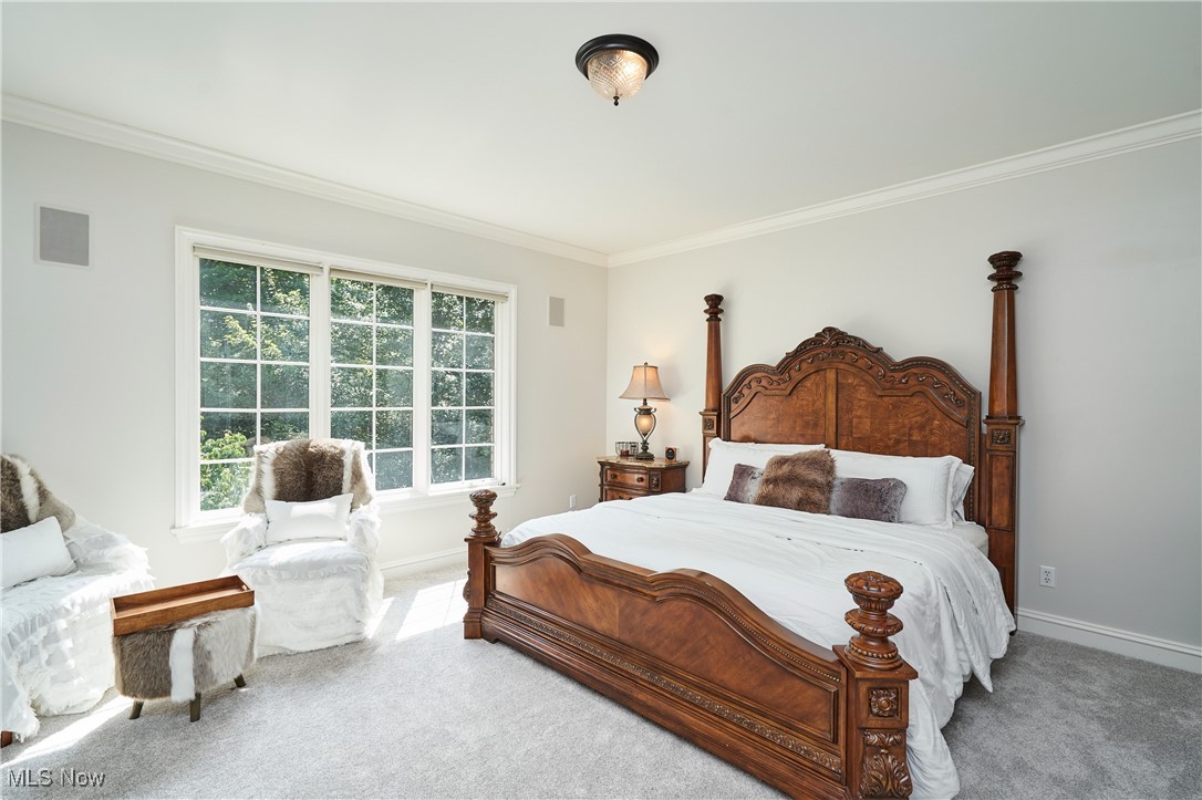 Richfield, Ohio 44286, United States, 6 Bedrooms Bedrooms, ,8 BathroomsBathrooms,Residential,Active,196494