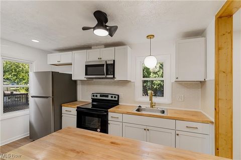 Tiny photo for 1126 Orlando Avenue, Akron, OH 44320 (MLS # 5178359)