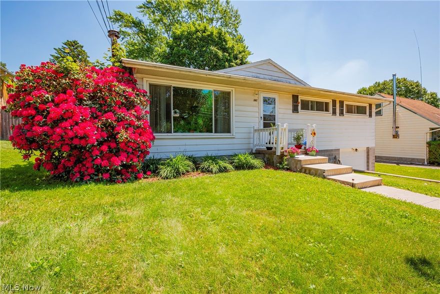 Welcome to this raised ranch with large lot, updated driveway, retaining wall, and walkway.  Located in the City of Wadsworth and minutes away from Wadsworth High School, the YMCA, and many other local businesses.  This is a convenient spot to call home!  This home offers 3 bedrooms and 1 bathroom, kitchen with updated flooring, an attached one car garage, and a basement with additional space.  The large backyard features an enclosed porch and lots of room for fun!  Make this home yours with your own special touches!  Call me or your favorite realtor for a showing today!