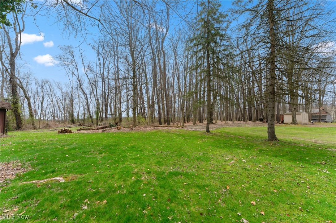 11249 Leffingwell Road, Berlin Center, Ohio image 37