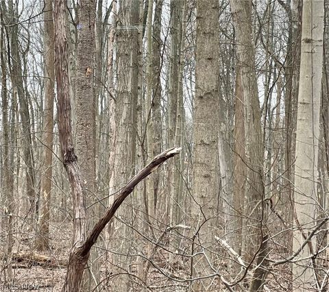 Photo of Maple Avenue, Boardman, OH 44512 (MLS # 5190079)