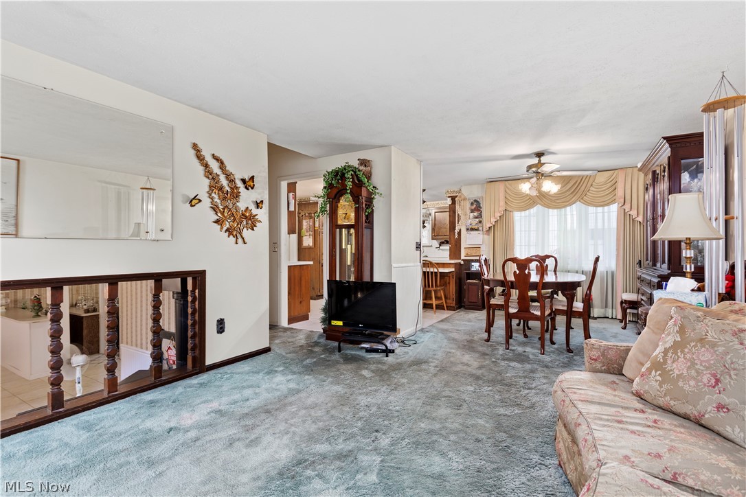 Falcon Home Estate - Residential