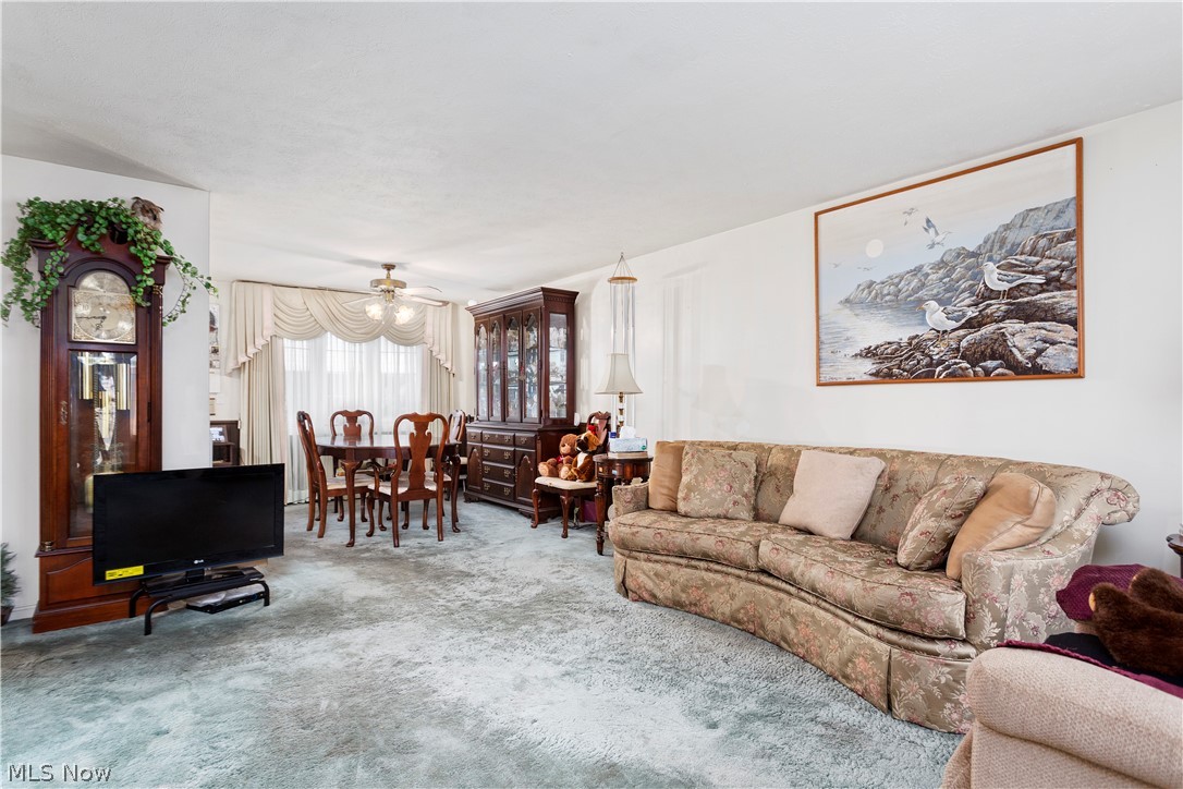 Falcon Home Estate - Residential