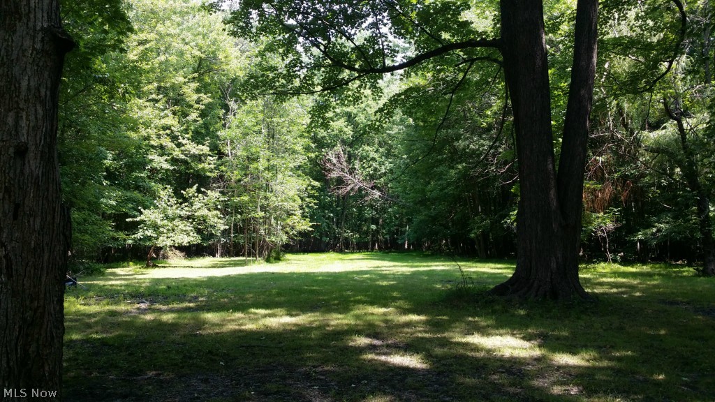 E J Dickay & J C Camps - Residential