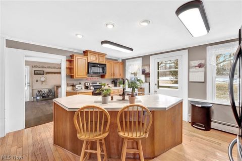 Tiny photo for 11146 Girdled Road, Concord, OH 44077 (MLS # 5187421)