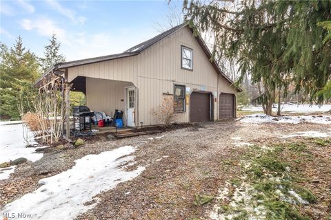 Tiny photo for 11146 Girdled Road, Concord, OH 44077 (MLS # 5187421)