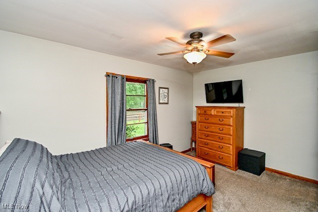 3364 Cormany Road, Akron, Ohio image 29