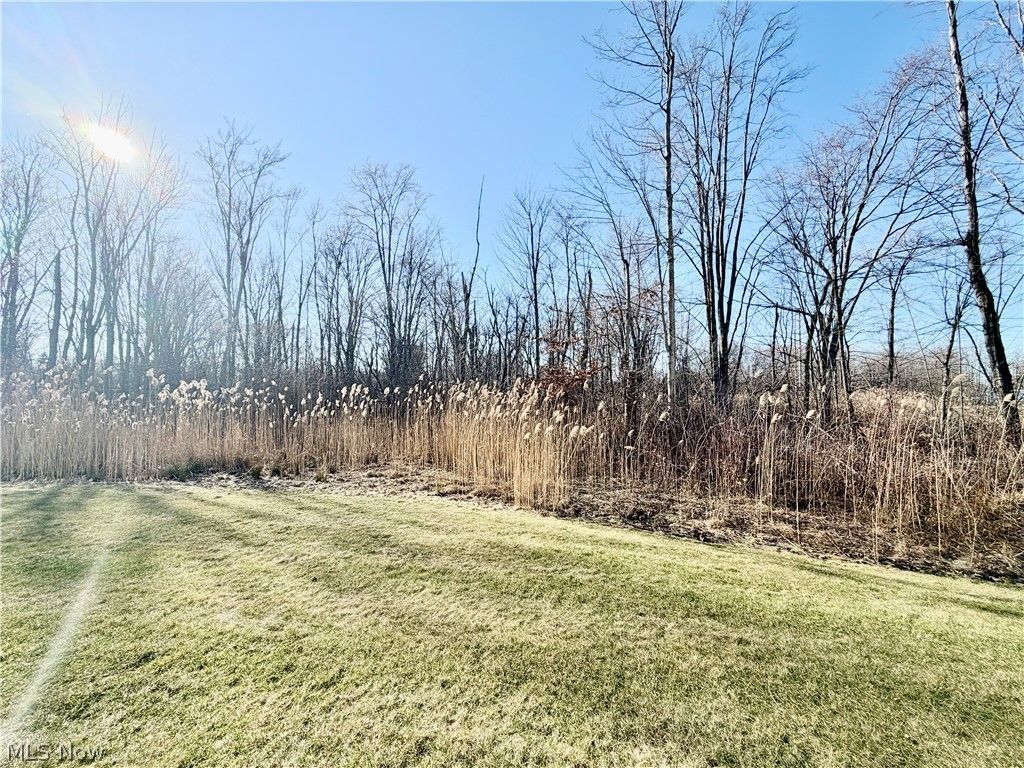 Photo of 153 Raintree Lane, Painesville Township, OH 44077 (MLS # 5191795)