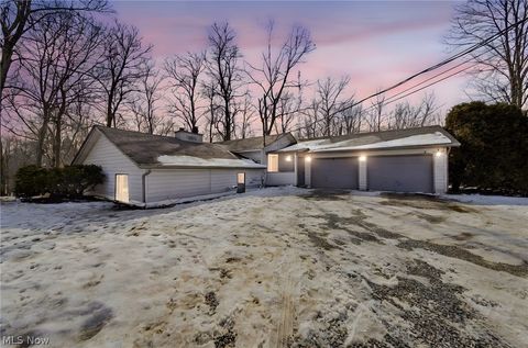 Photo of 4814 Hilldom Road, Kingsville, OH 44048 (MLS # 5187644)