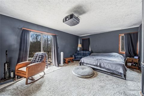 Tiny photo for 4814 Hilldom Road, Kingsville, OH 44048 (MLS # 5187644)