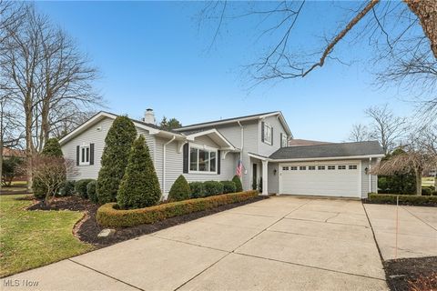603 Davidson Drive, Highland Heights, OH