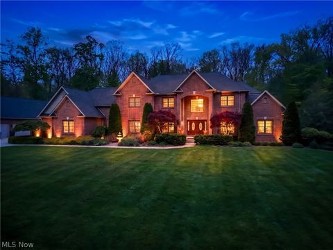 2520 Eastpoint Heights Drive SE Howland OH 44484