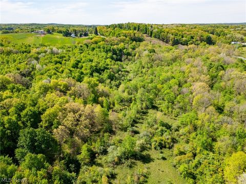 Vacant Land For Sale - 11154 Shetler Avenue #4<br/> Bolivar, OH 44612