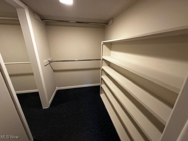 Rose Tree 02 - Residential