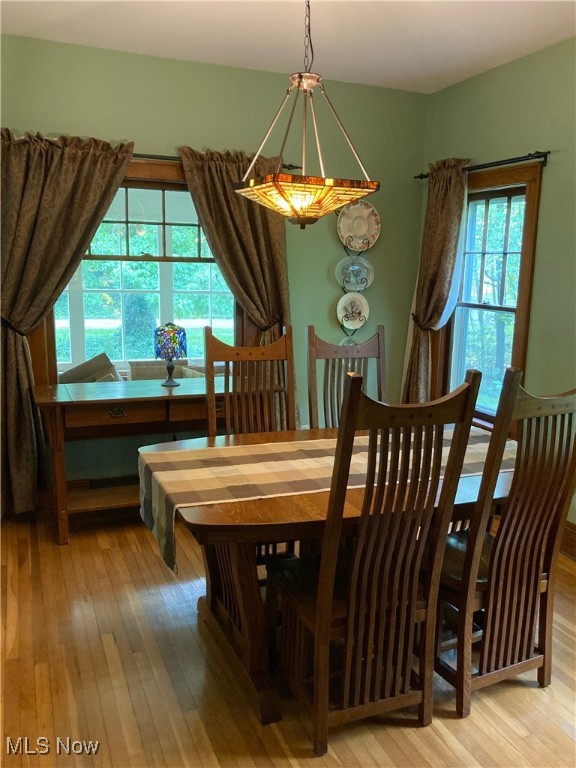 7434 Birkner Drive, Kent, Ohio image 8