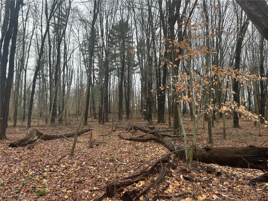 Rootstown Road, Rootstown, Ohio image 6