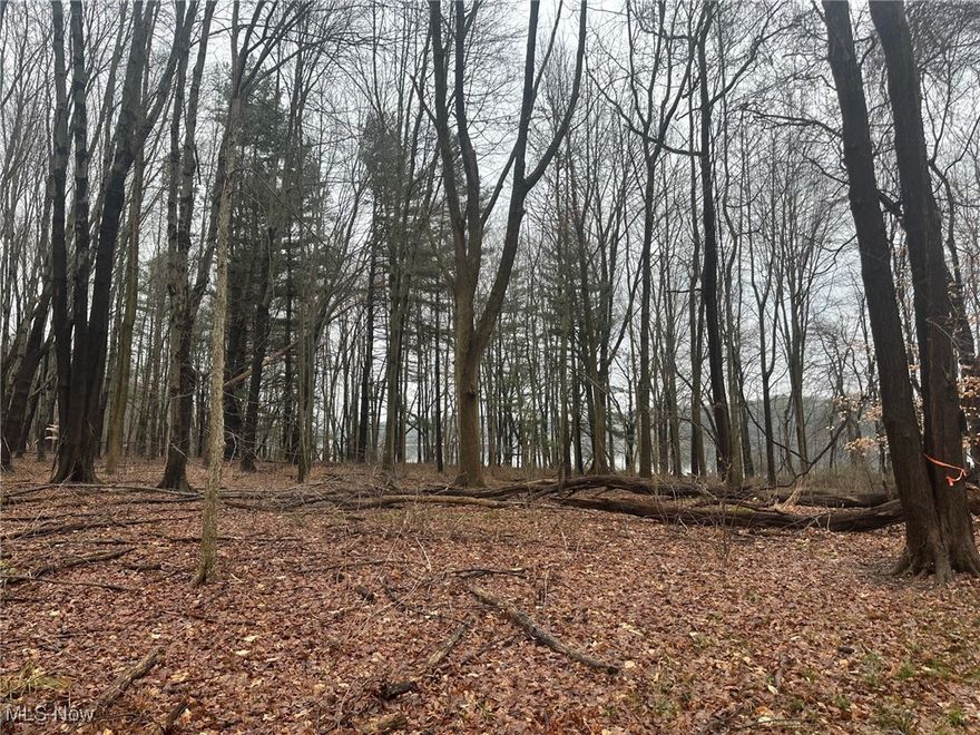 2.93 beautiful wooded acres in Rootstown Twp. with picturesque lake view of Lake Hodgson. Bring your builder and build your dream home on this private and tranquil lot! No HOA, No lake access, or lake rights. Gorgeous country and water views!