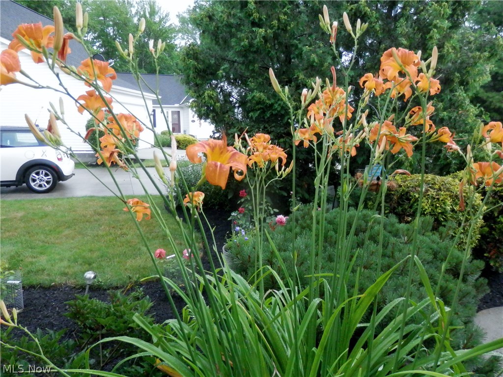 Sweet Brier Condo - Residential