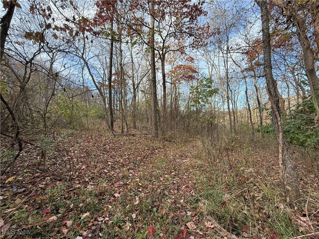 Photo of Jewett Scio Road, Jewett, OH 43986 (MLS # 5168459)