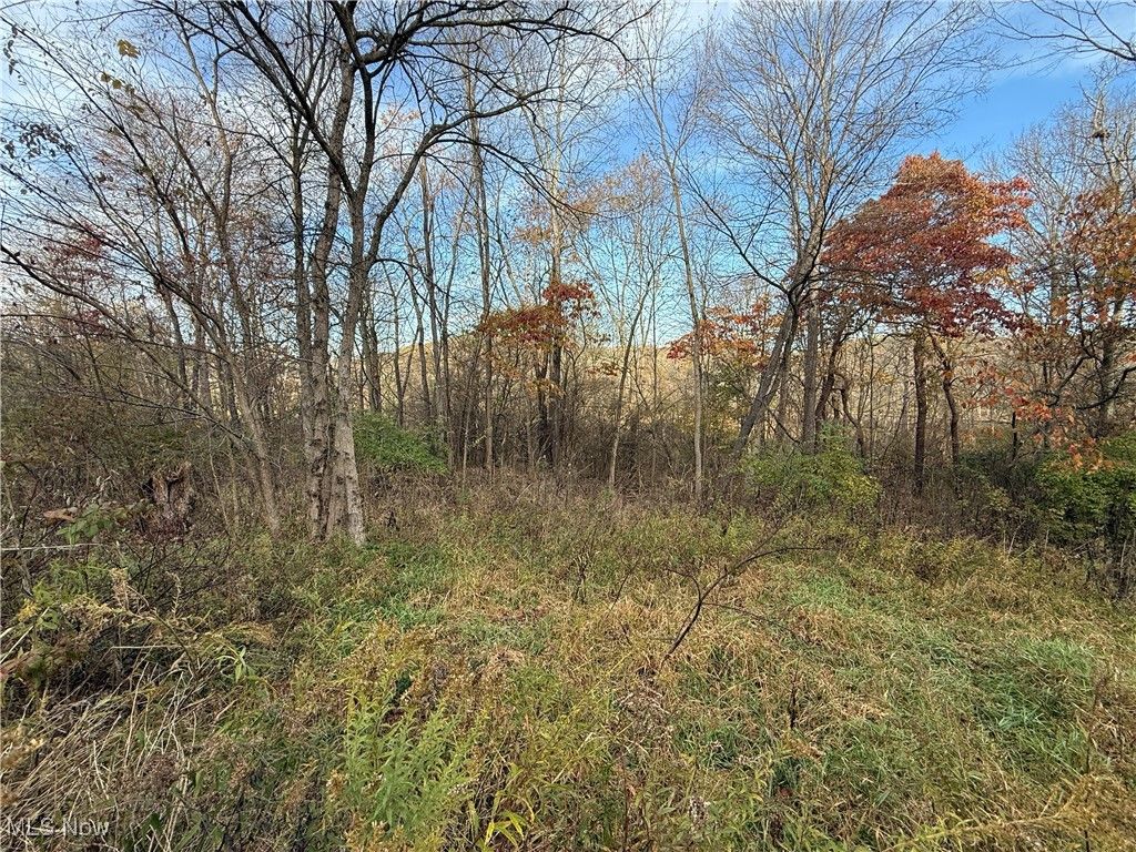 Photo of Jewett Scio Road, Jewett, OH 43986 (MLS # 5168459)