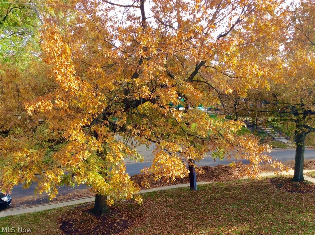 Georgetown Condo - Residential