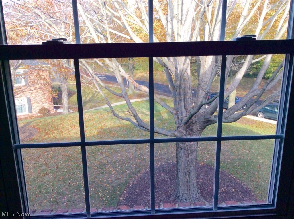 Georgetown Condo - Residential