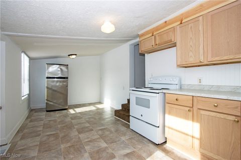 Tiny photo for 283 E Wood Street, Shreve, OH 44676 (MLS # 5180183)