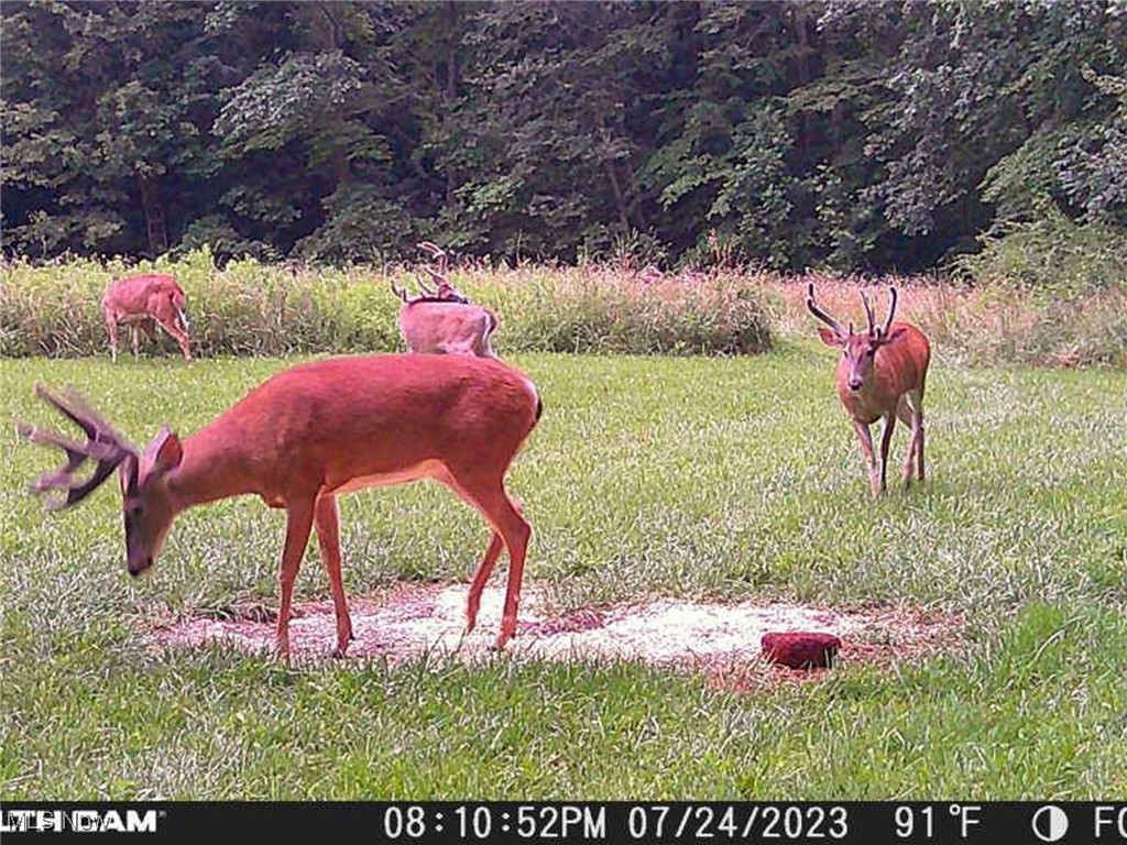 6066 County Road 68, Millersburg, Ohio image 23