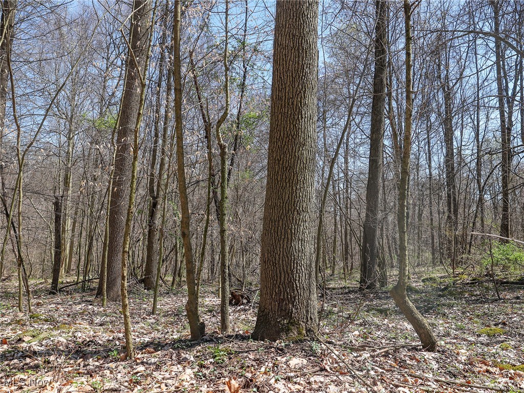 6066 County Road 68, Millersburg, Ohio image 10