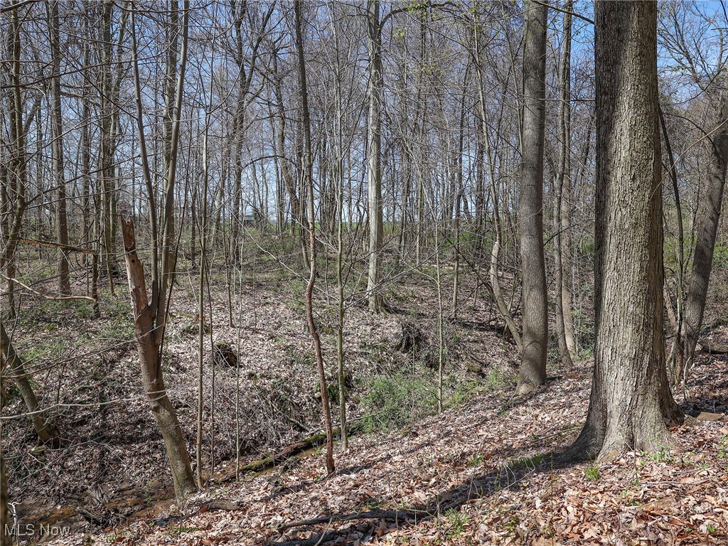 6066 County Road 68, Millersburg, Ohio image 20