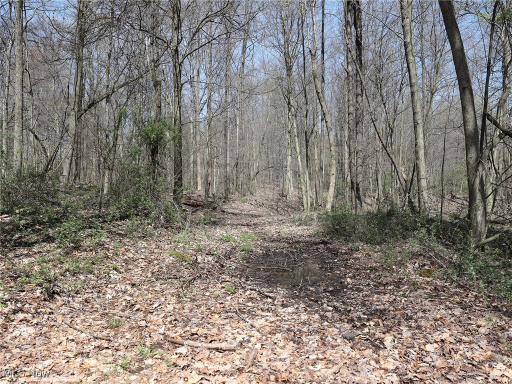6066 County Road 68, Millersburg, Ohio image 18