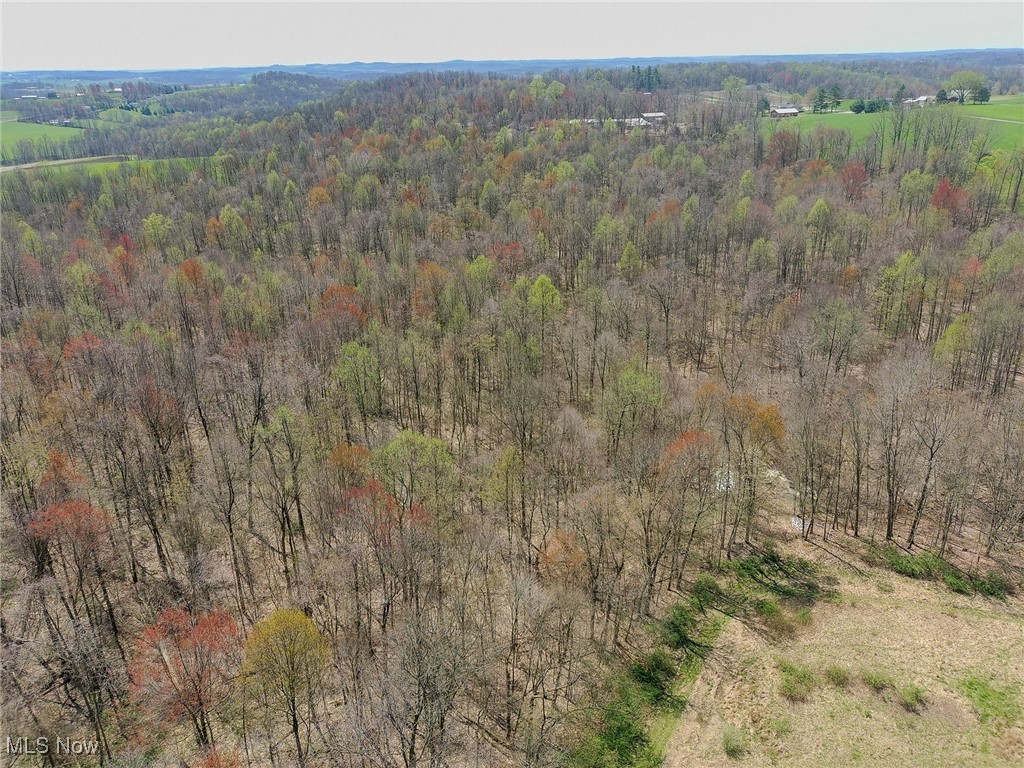6066 County Road 68, Millersburg, Ohio image 15